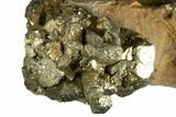Golden Pyrite on Limonite Clay - Pakistan #337949-1